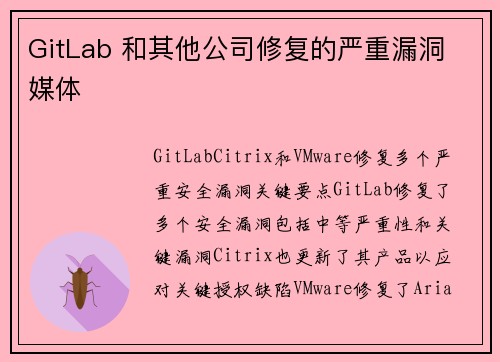 GitLab 和其他公司修复的严重漏洞 媒体
